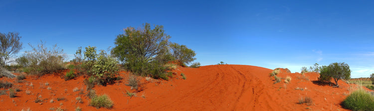 tyre tracks on red Australian outback dirt